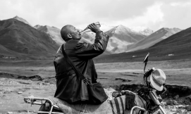 tharlo cine tibetano